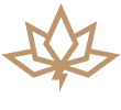 Thunder Lotus Logo